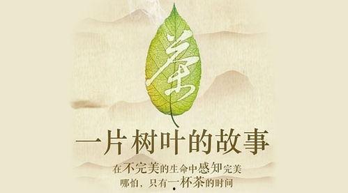 茶，一片树叶的故事,探寻一片树叶的传奇故事