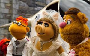 布偶大电影,欢乐喜剧之旅