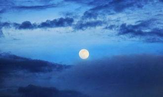 春夜玷明月,诗意盎然的月色邂逅